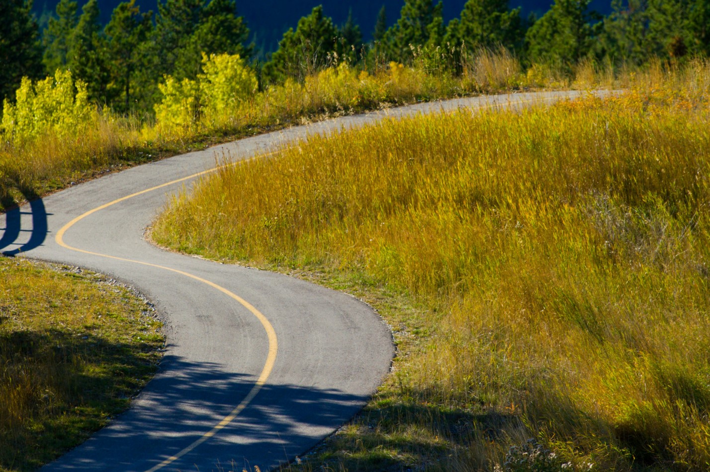 Creating Charitable Legacy While Ensuring Lifetime Income | Road winding through a meadow
